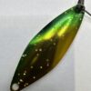 ティモン ロミー 3.1g