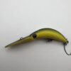 ムカイ ザンム