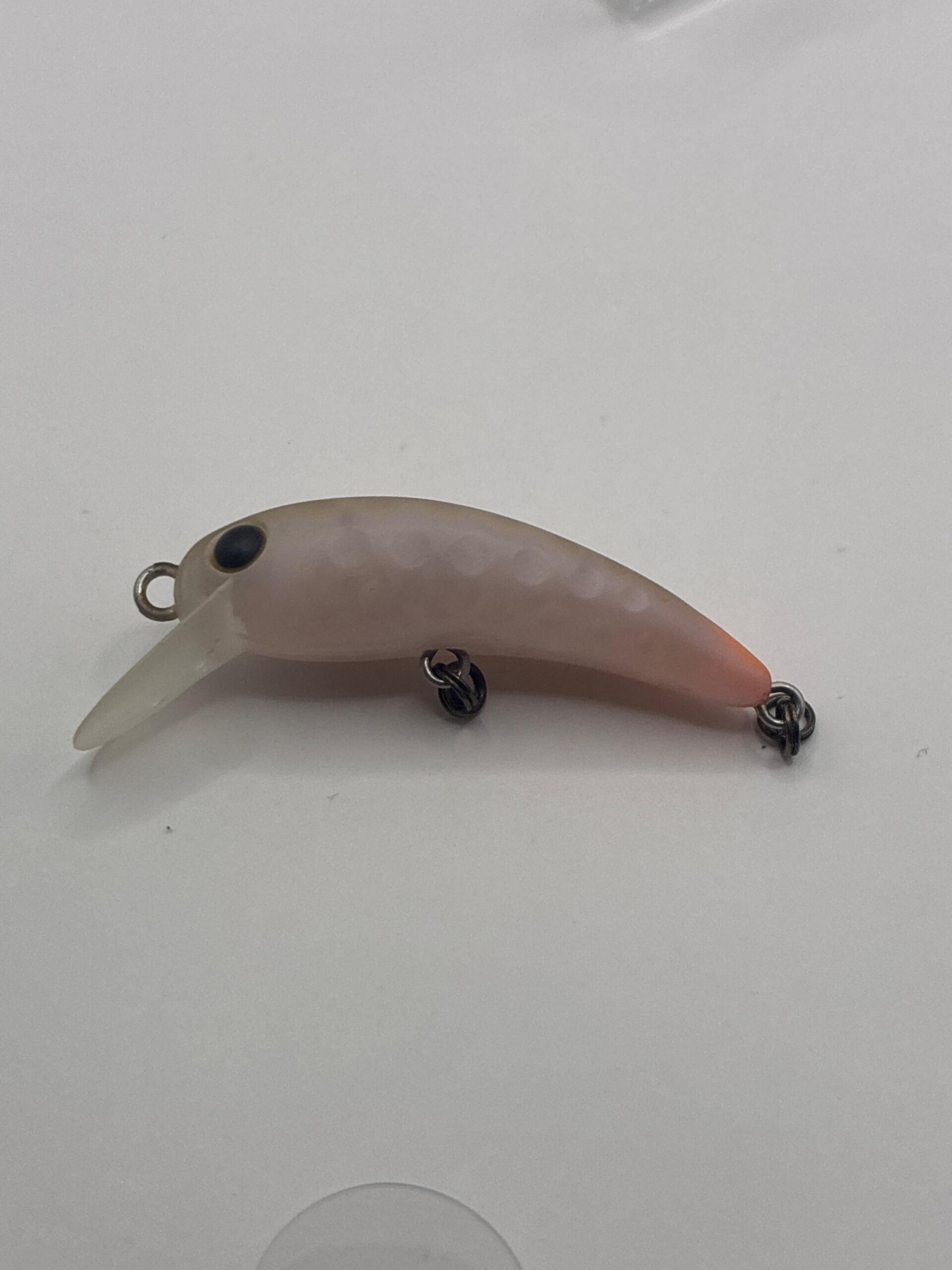 エリアトラウト用中古プラグ通販｜ロデオクラフト モカほか｜タックル