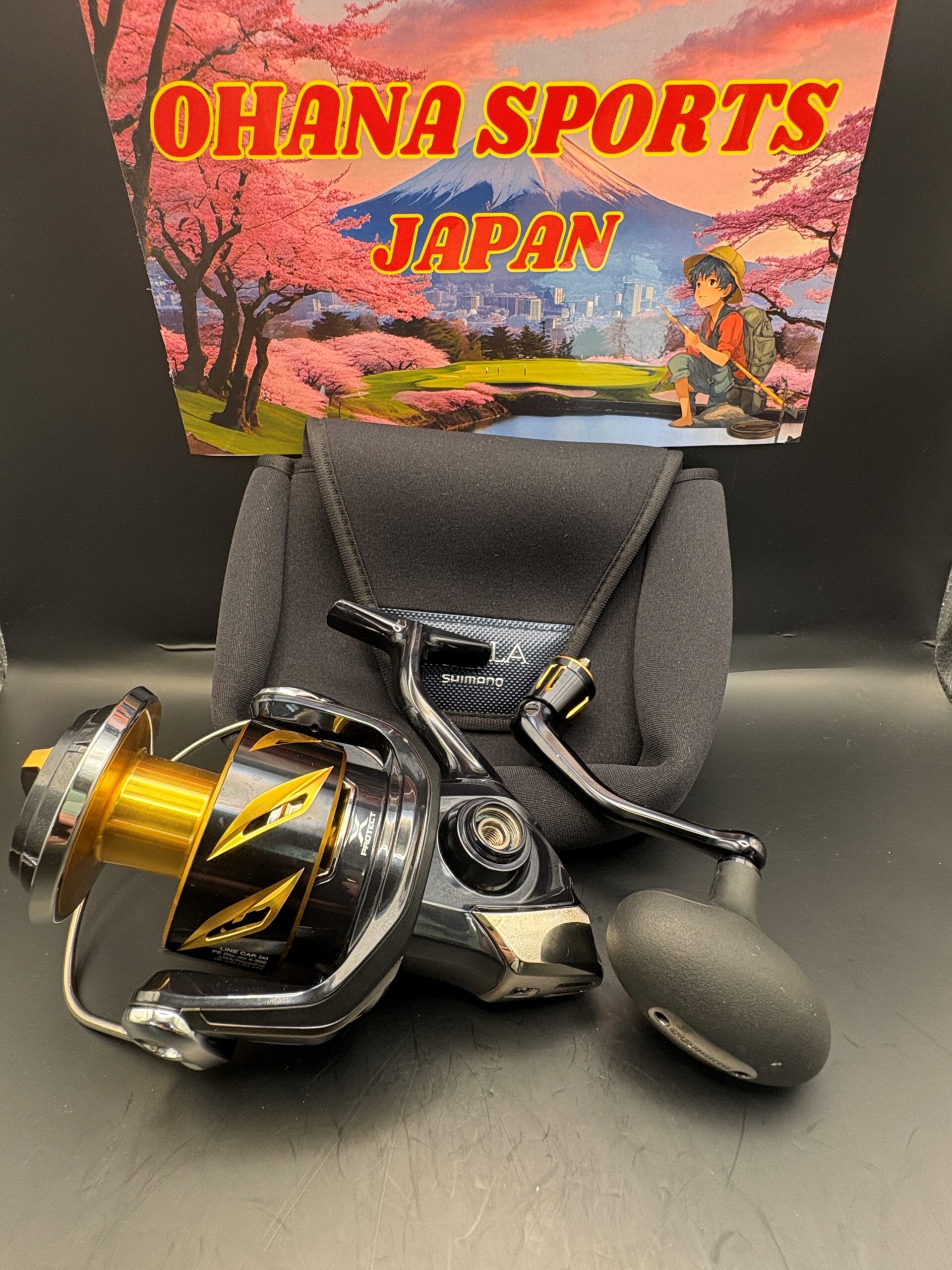 シマノ 19 ステラSW 8000HG