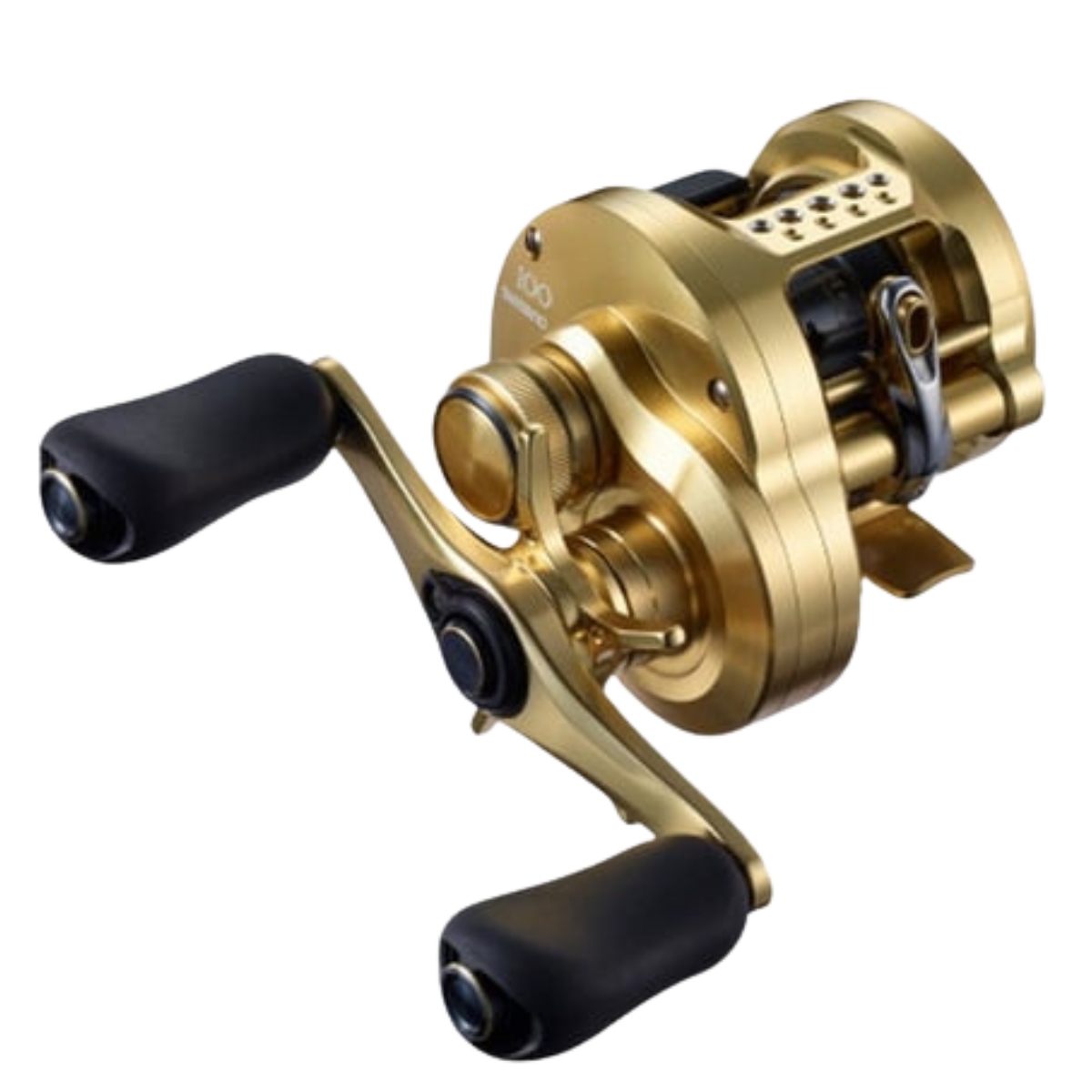 21 カルカッタ 100