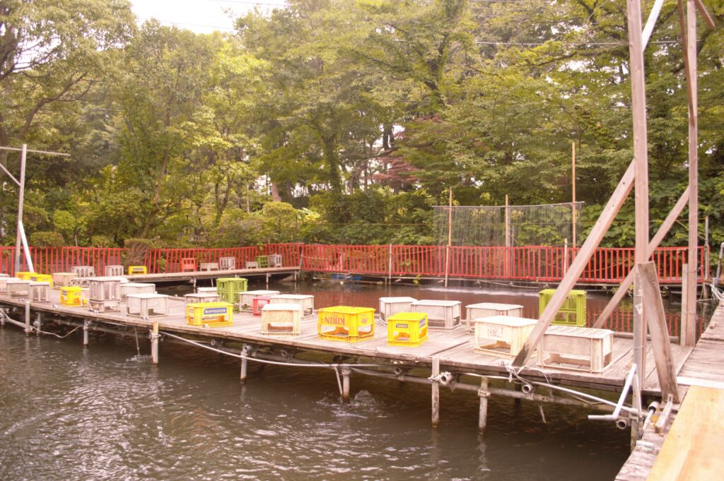 マグロが釣れる釣り堀ガイド｜関東・関西の料金・仕掛けを解説