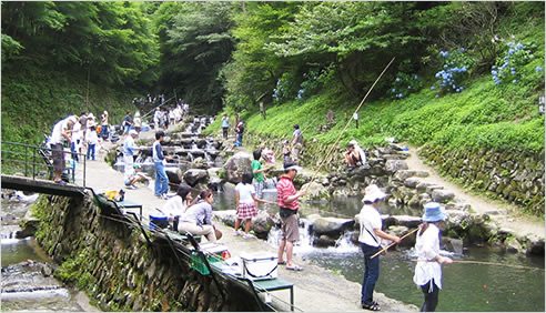 千早川マス釣り場の公式掲載画像