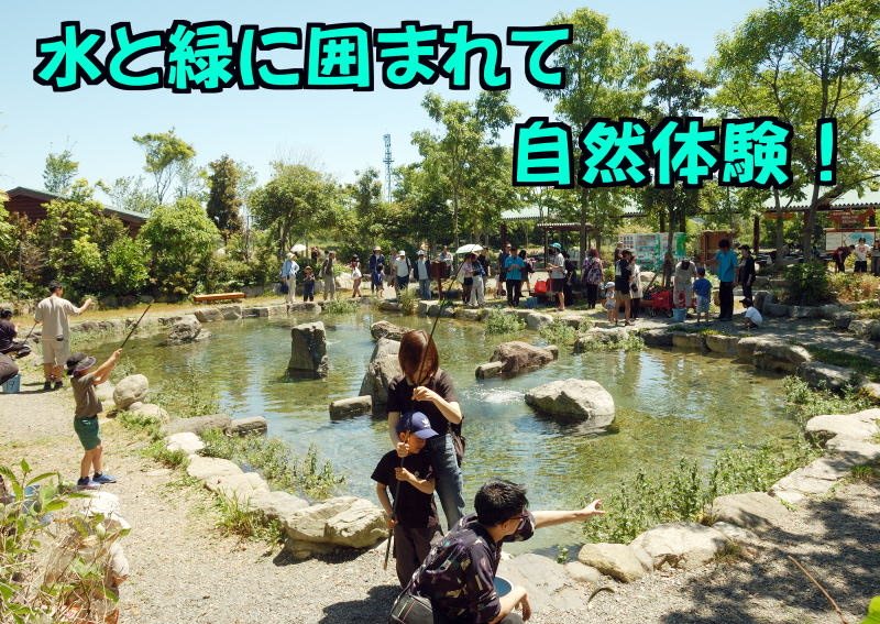 フィッシングパーク高島の泉の公式掲載画像